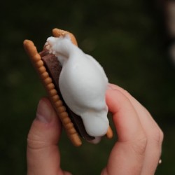 S'mores
