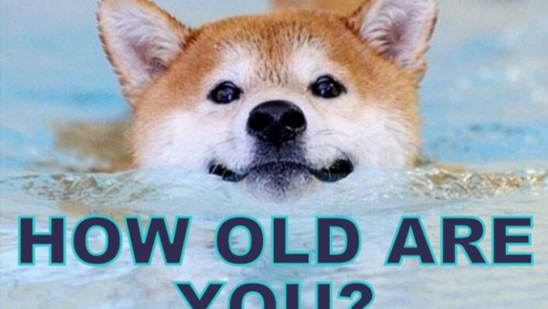 We Know Which GIF Will Make You Laugh Based On Your Age