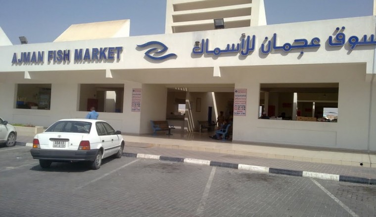 Video: Ajman Fish Market
