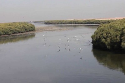 Ajman 2021 -  Strategic Plan