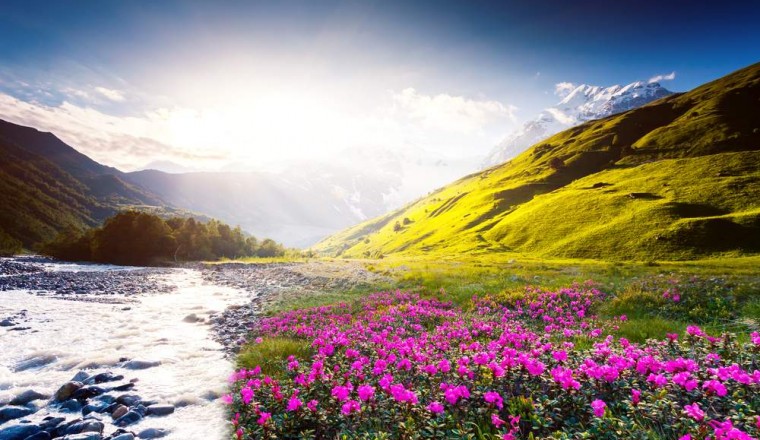 Holiday deals during the UAE National Day