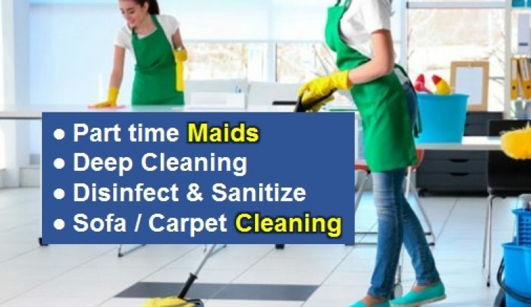 Spring Cleaning Maid Services