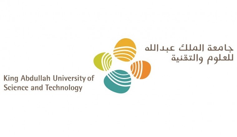 Probióticos para Corales Aumentan la Resiliencia y Ayudan a Evitar la Mortalidad