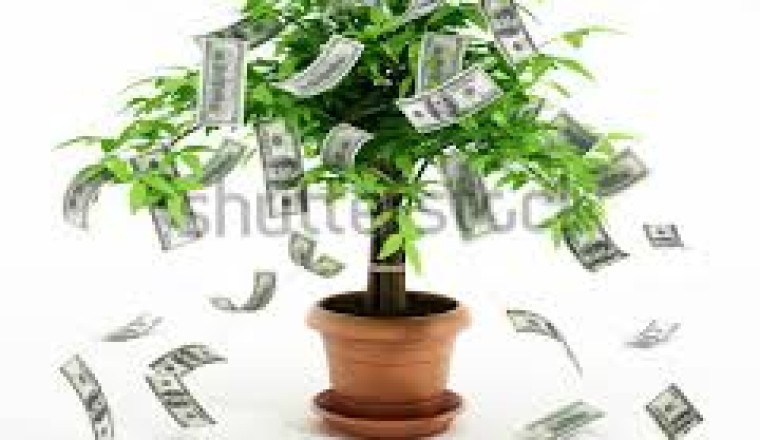 Business Loan Opportunity At 3% Interest Rate Apply Now