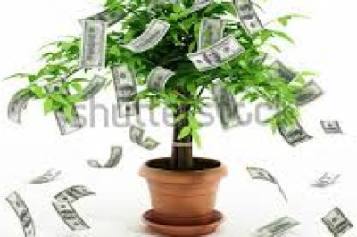 Business Loan Opportunity At 3% Interest Rate Apply Now