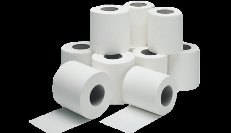 Best toilet rolls 2 ply
