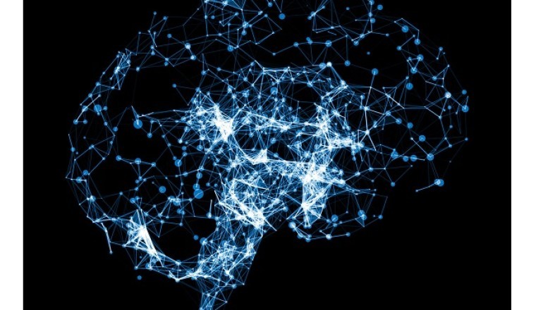 إس إي آر تطلق منصّة دوكسيس إنتليجنت كونتنت أوتوميشن