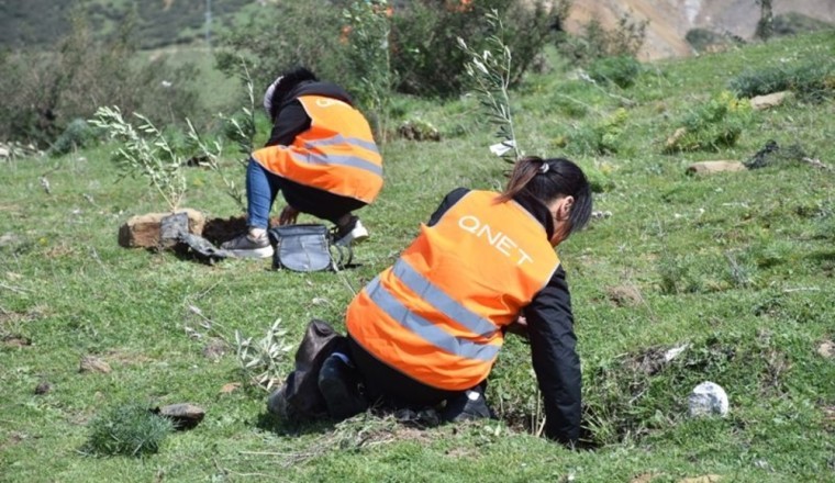 QNET pledges commitment to sustainable development on World Environment Day