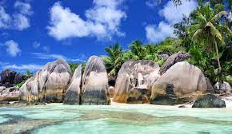 Seychelles Company Formation