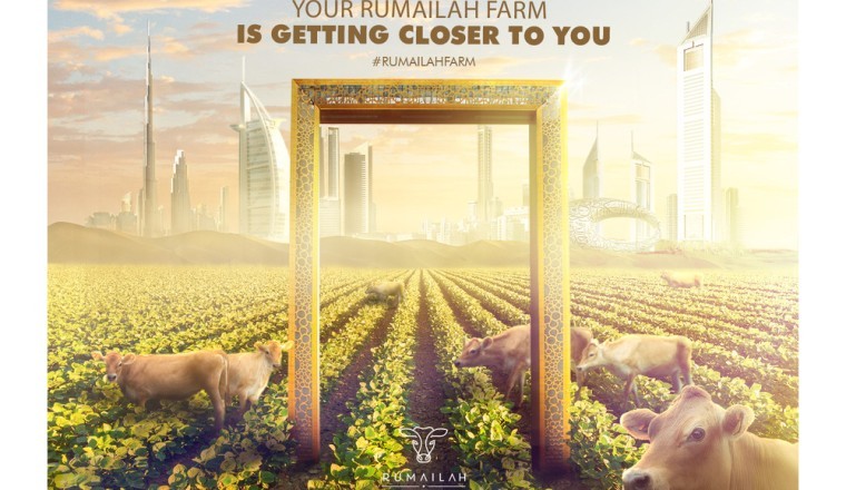 After East Coast Success, Rumailah Farm Set to Expand across UAE