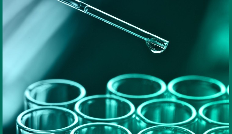 جي إس سي تُعلن عن إبرام شراكة جديدة مع شركة بايون