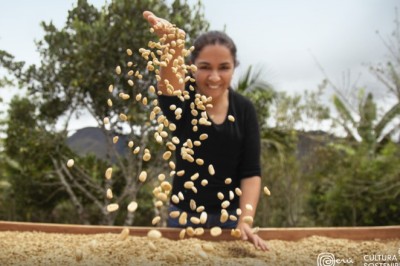 بيرو تُطبق استراتيجية الثقافة المستدامة في قطاع التصدير