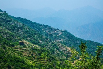 برنامج الأمم المتحدة للبيئة يعلن استضافة السعودية لليوم العالمي للبيئة 2024م