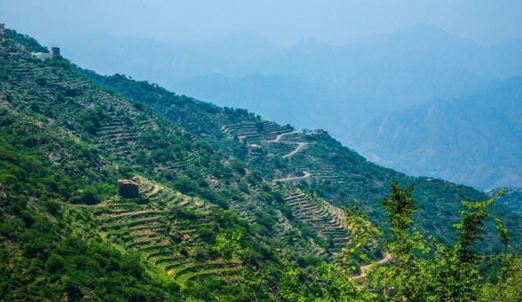 UN Environment Program (UNEP) announces that Saudi Arabia will host the 2024 World Environment Day