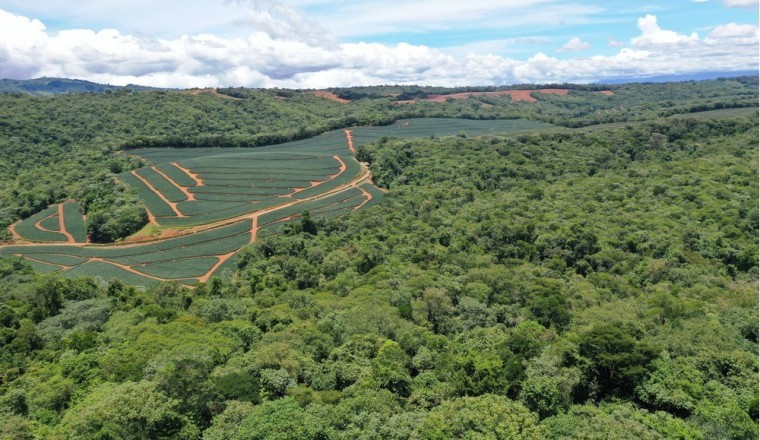 Fresh Del Monte Sets New Standards in Sustainability with 2022 Report