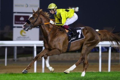 بتوجيهات سمو الشيخ منصور بن زايد, زيادة جوائز كأس رئيس الدولة للخيول العربية إلى 4.5 مليون درهم