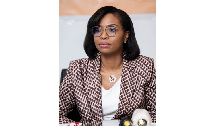 حكومة جمهورية غينيا تُعلن عن مؤتمر الطاولة المستديرة للجهات المانحة في دبي