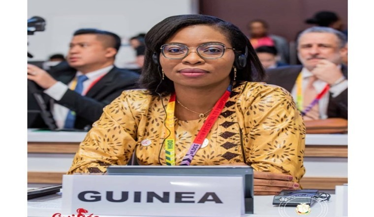 Guinea's Round Table of Donors in Dubai: A Testament to Global Confidence in Guinea's Development Vision