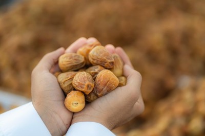 The Arabian Silk Road: First Global Path to Responsible Consumption and Production