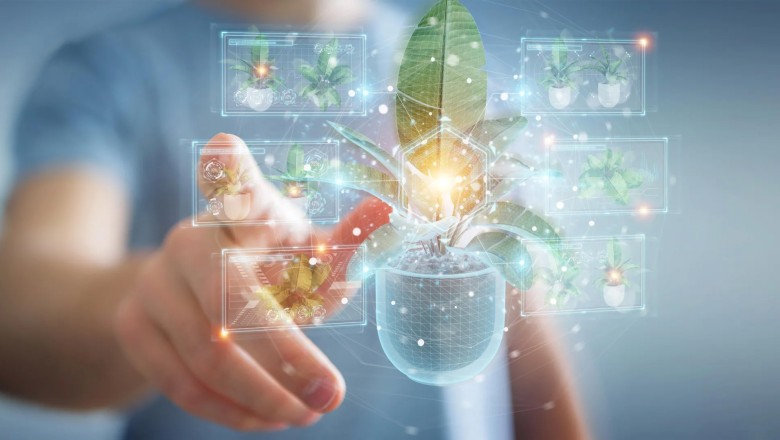 This unexpected plant discovery could change how drugs are made