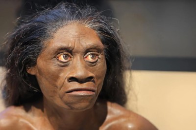 Ancient drought may have wiped out the real-life hobbits 61,000 years ago