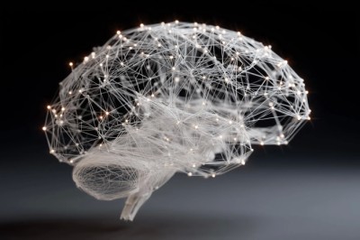 Intelligence emerges when the whole brain works as one