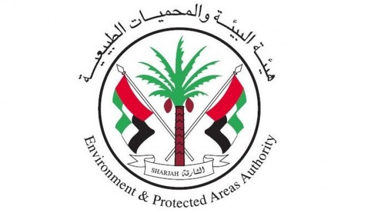 اكتشاف أول لتعشيش سلاحف "ردلي الزيتونية" البحرية  في الإمارات