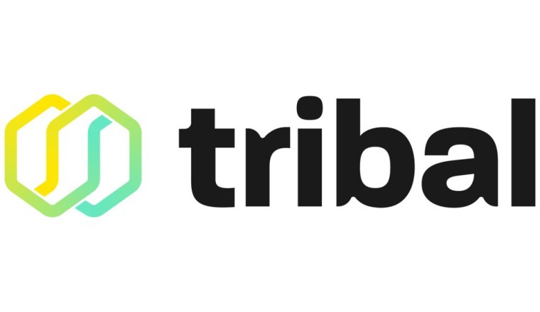Tribal Credit Launches Private Beta of Cash Copilot: A GPT-Powered Open Banking Solution for Emerging Market SMEs