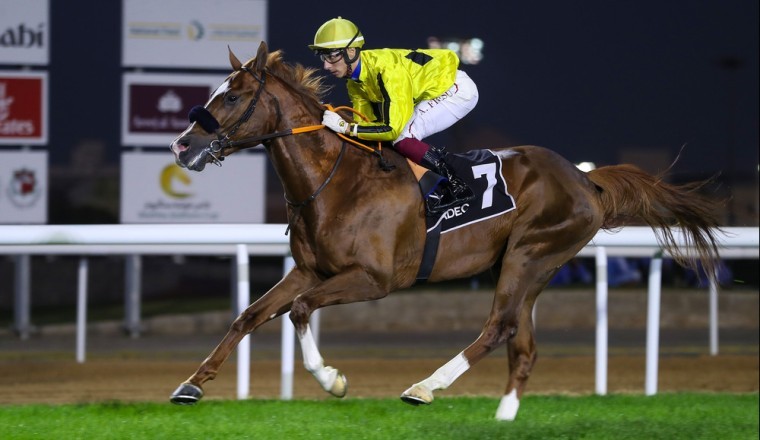 Under the directives of HH Sheikh Mansour bin Zayed, The prize pool for The UAE President's Cup for Purebred Arabian Horses has been increased to AED 4.5 million.