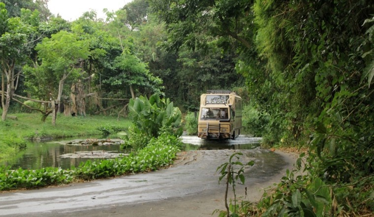 اكتشف أرض عجائب الحياة البرية في إندونيسيا, معرض تامان سفاري إندونيسيا في سوق السفر العربي 2024